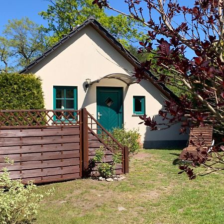 „Rentmeisterhaus Basedow“ Basedow  Ngoại thất bức ảnh